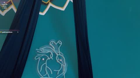 Snapshot of melany_blair chatting on 01.22.25 Melany online show from 01.22.25