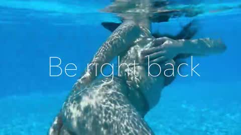 Adel online show from 11.14.25