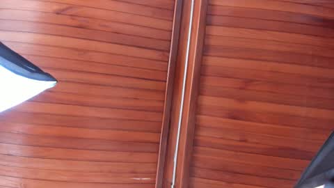 Melissa  Everyday From 1430 to 2130 Col Time online show from 12.13.25