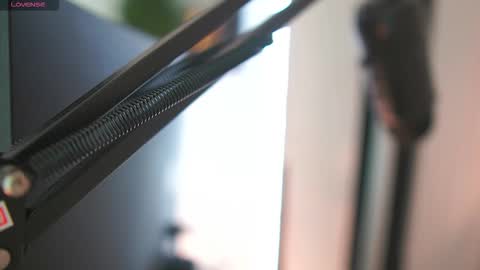 Snapshot of melissa_laurent_ chatting on 11.10.25 Melissa online show from 11.10.25