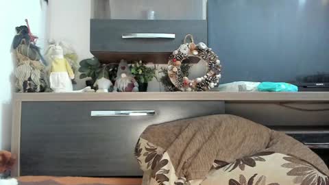 MellyMell  online show from 01.08.25