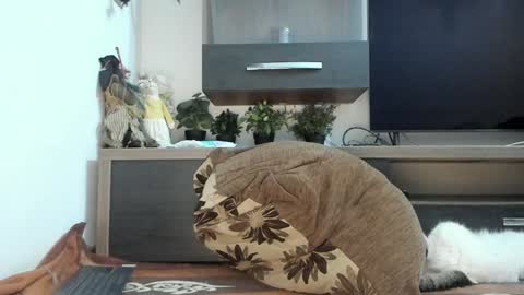 MellyMell  online show from 03.05.25