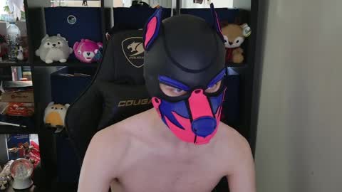 MellPUP online show from 04.30.26