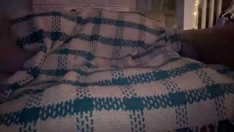 melt13 online show from 09.09.25