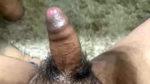 Toro loco online show from 11.13.25