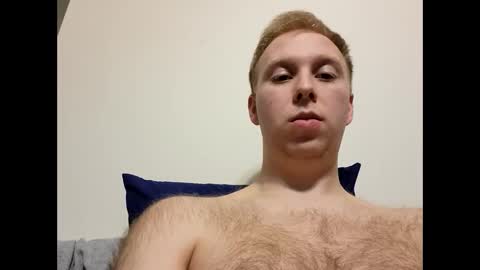 meow732 online show from 10.15.25