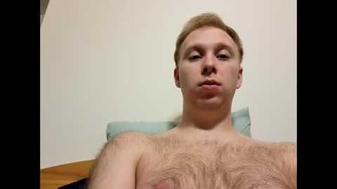 meow732 online show from 10.26.25