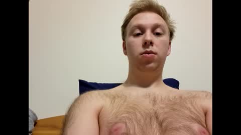 meow732 online show from 12.04.25