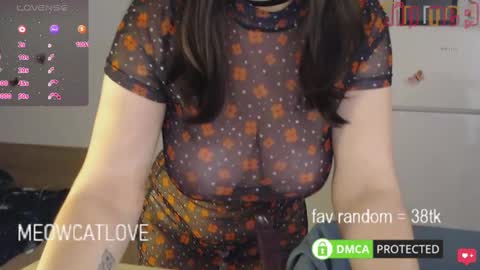 Snapshot of meowcatlove chatting on 01.23.25 meowcatlove online show from 01.23.25