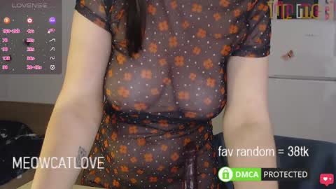 Snapshot of meowcatlove chatting on 01.26.25 meowcatlove online show from 01.26.25