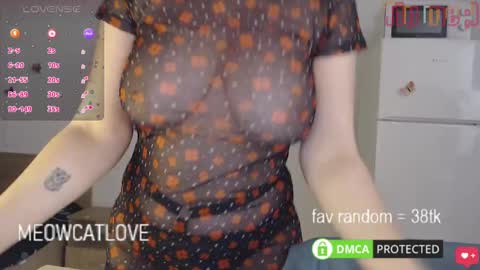 Snapshot of meowcatlove chatting on 01.27.25 meowcatlove online show from 01.27.25