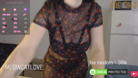 Snapshot of meowcatlove chatting on 01.29.25 meowcatlove online show from 01.29.25