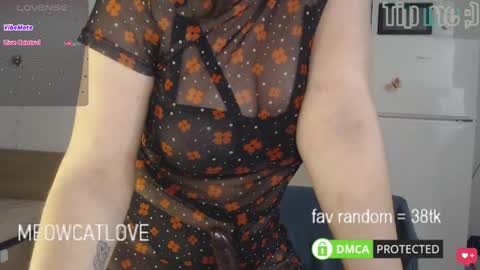 Snapshot of meowcatlove chatting on 03.04.25 meowcatlove online show from 03.04.25