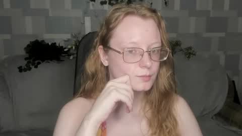 meowcr online show from 05.04.26