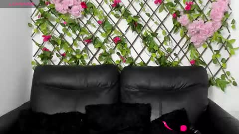 My next birthday is December 11th. online show from 11.14.25