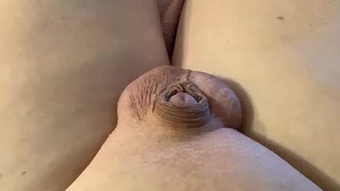 Wade online show from 01.28.25