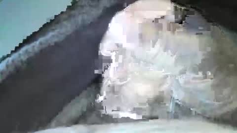 mexianthehawk online show from 09.14.25