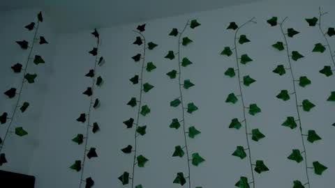 MIA online show from 11.05.25