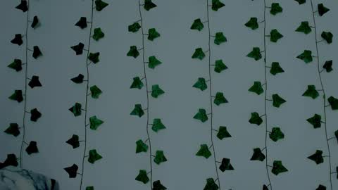 MIA online show from 11.10.25