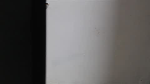 Snapshot of mia_sepulveda chatting on 01.22.25 Mia Sepulveda online show from 01.22.25