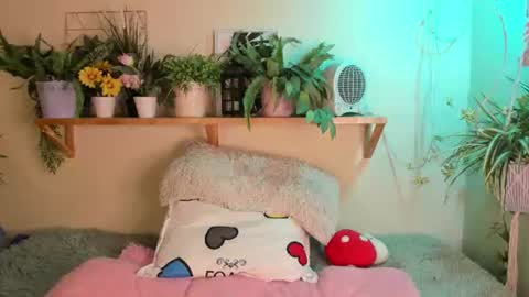 Miaa online show from 06.19.26