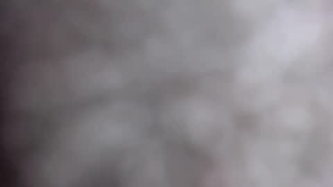 Snapshot of miahlove3x chatting on 10.17.25 MiahLove31 online show from 10.17.25