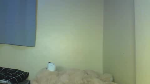 Muffin online show from 12.17.25