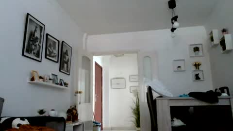 MILO MIAMI online show from 07.14.26