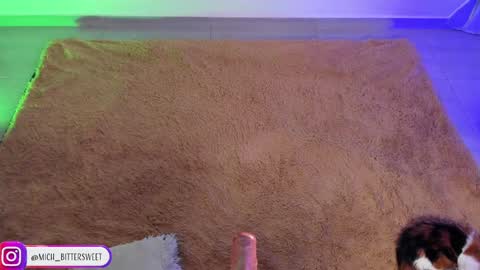         online show from 01.29.25