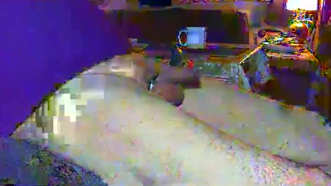 Micha online show from 03.02.25