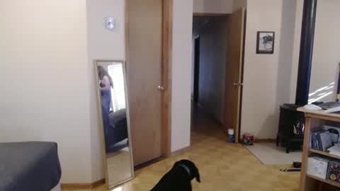 Michelle online show from 02.13.25