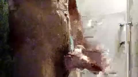 Snapshot of mickavis1975 chatting on 11.16.25 mickavis1975 online show from 11.16.25