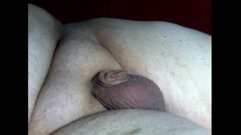 micropimmel online show from 12.18.24