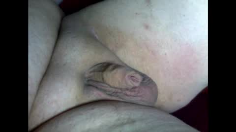 micropimmel online show from 02.18.25