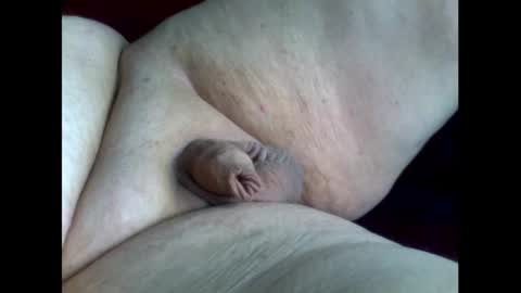 micropimmel online show from 09.16.25