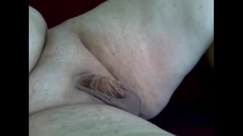 micropimmel online show from 11.02.25