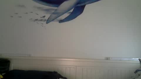 Snapshot of midhir chatting on 12.04.25 kike online show from 12.04.25