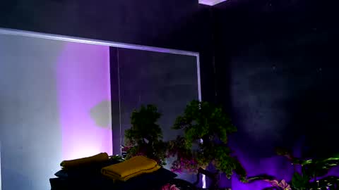 Snapshot of midnight_seduction chatting on 02.13.25 Alice online show from 02.13.25