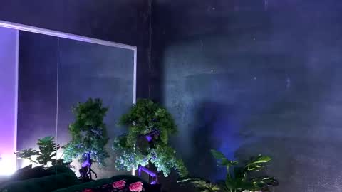 Snapshot of midnight_seduction chatting on 03.07.25 Alice online show from 03.07.25