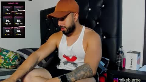 Snapshot of mikeblaree chatting on 01.17.26 mikeblaree online show from 01.17.26