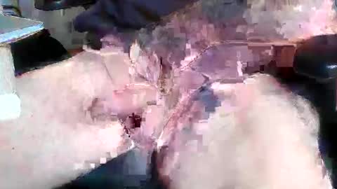 Snapshot of mikefun4711 chatting on 10.28.25 mikefun4711 online show from 10.28.25