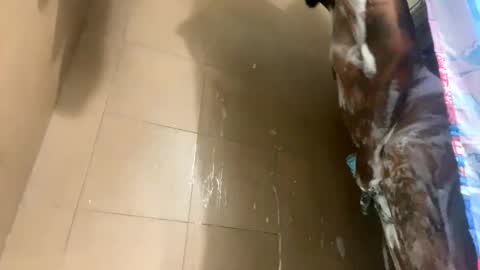 Snapshot of mikeyblunt chatting on 02.25.25 mikeyblunt online show from 02.25.25