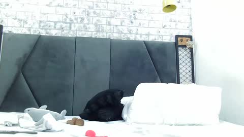 mila_adamss online show from 01.16.25