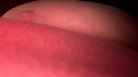 BBW-Gem online show from 05.08.26