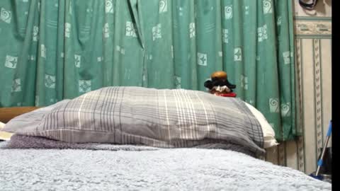 Snapshot of milfy72 chatting on 01.30.25 milfy72 online show from 01.30.25