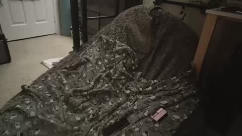 Snapshot of milky479 chatting on 03.09.26 milky479 online show from 03.09.26