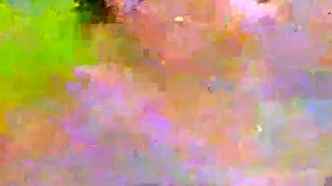 millhill17 online show from 01.13.26