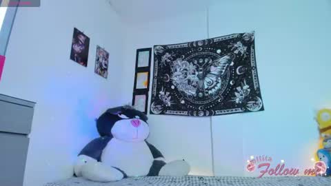        online show from 07.18.26