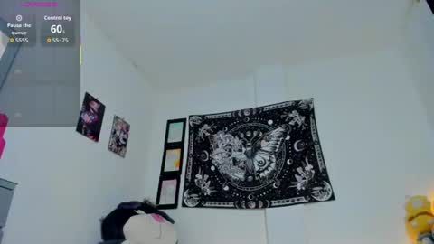        online show from 07.24.26