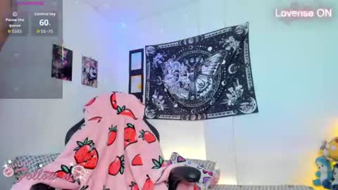        online show from 07.28.26